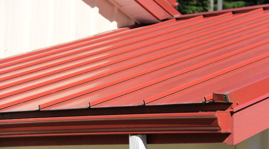 Gutter Debris Removal in Lismore, MN